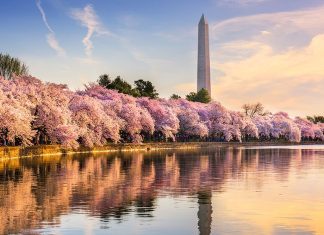 68 de locuri de vizitat cand ajungi in Washington DC