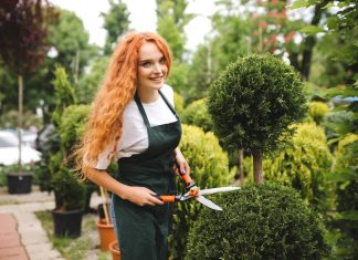 Cum să alegi o foarfecă de calitate pentru grădină?