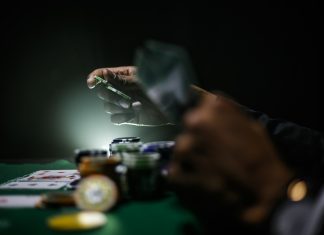 Secretele unui parior de succes: cum să-ți maximizezi profitul