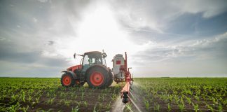 Investiția în insecticide sistemice pentru rapiță și porumb: cum vă protejați profitabilitatea culturilor în 2026